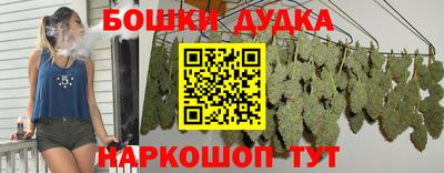 apvp Ливны