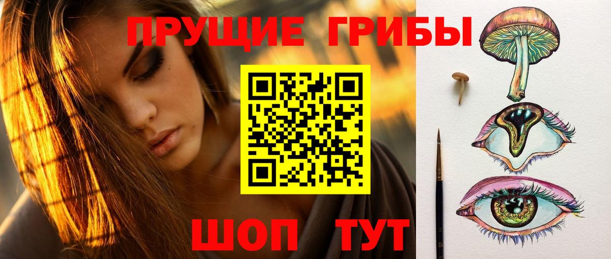 Владимир  Псилоцибиновые грибы MAGIC MUSHROOMS  Вход с VPN 